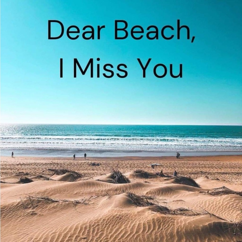 Meet your Posher, Dawne